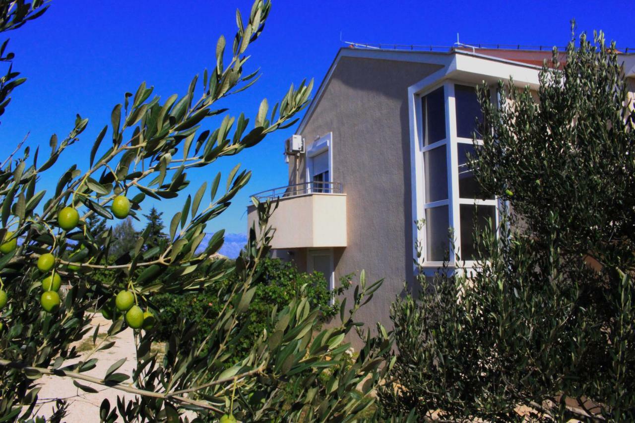 Apartmani Olives 宁 外观 照片